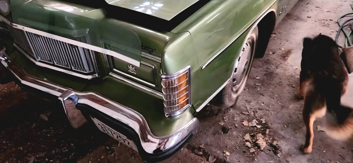 Mercury-grand-marquis-1976-green-10