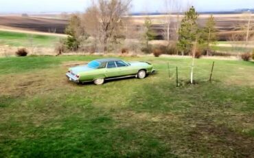 Mercury-grand-marquis-1976-green-9
