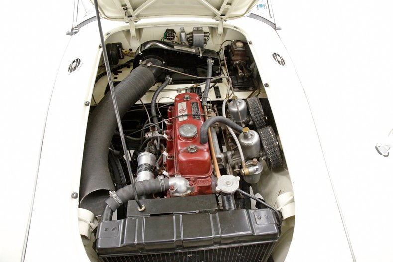 Mg-A-1958-Old-English-White-Black-11