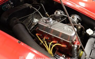 Mg-A-1960-Red-Saddle-Tan-32
