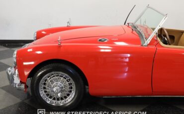 Mg-A-1960-Red-Saddle-Tan-40