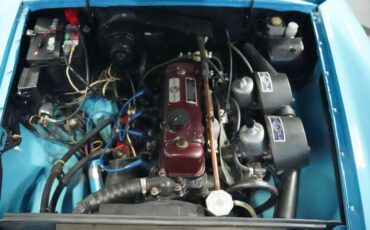Mg-B-1965-Iris-Blue-Blue-1