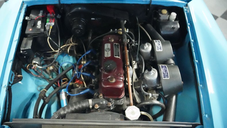 Mg-B-1965-Iris-Blue-Blue-1