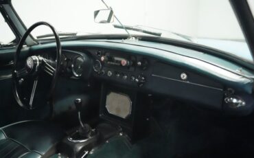 Mg-B-1965-Iris-Blue-Blue-12