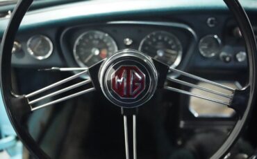 Mg-B-1965-Iris-Blue-Blue-14
