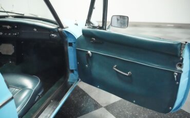 Mg-B-1965-Iris-Blue-Blue-19