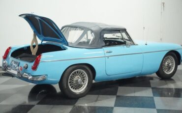 Mg-B-1965-Iris-Blue-Blue-20