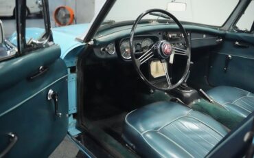 Mg-B-1965-Iris-Blue-Blue-21