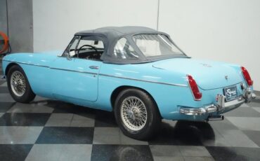 Mg-B-1965-Iris-Blue-Blue-24