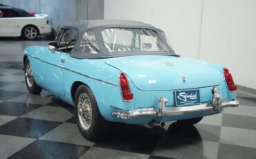 Mg-B-1965-Iris-Blue-Blue-25
