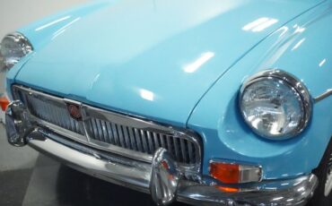 Mg-B-1965-Iris-Blue-Blue-29