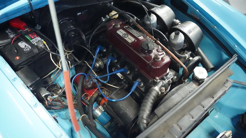 Mg-B-1965-Iris-Blue-Blue-36