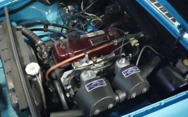 Mg-B-1965-Iris-Blue-Blue-38