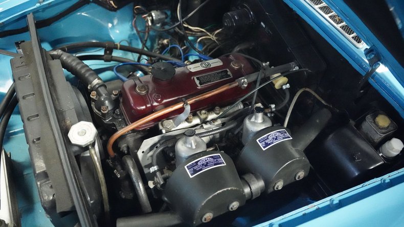 Mg-B-1965-Iris-Blue-Blue-38