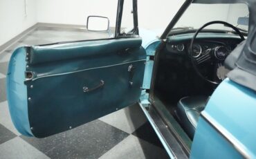 Mg-B-1965-Iris-Blue-Blue-41