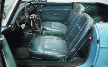 Mg-B-1965-Iris-Blue-Blue-43