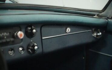 Mg-B-1965-Iris-Blue-Blue-44