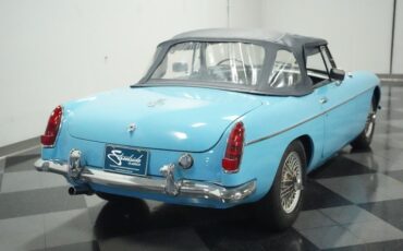 Mg-B-1965-Iris-Blue-Blue-9