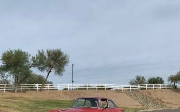 Mg-B-1965-Red-8