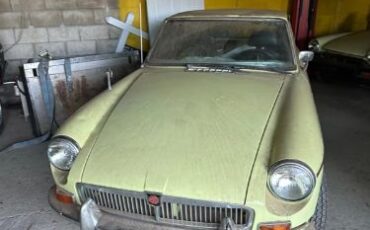 Mg-B-1969-Yellow-Black-2