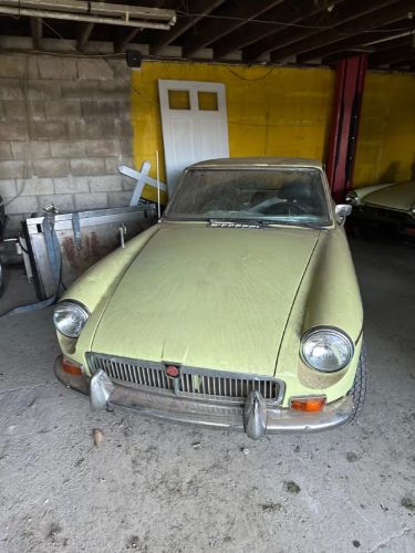 Mg-B-1969-Yellow-Black-2