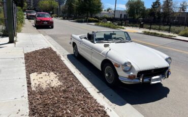 Mg-B-1970-White-10
