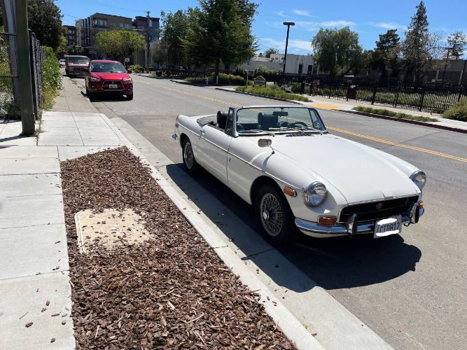 Mg-B-1970-White-10