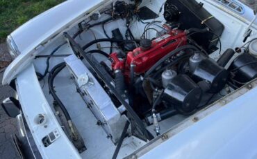 Mg-B-1970-White-2