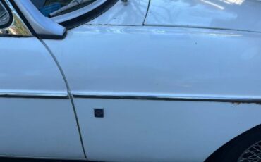 Mg-B-1970-White-22