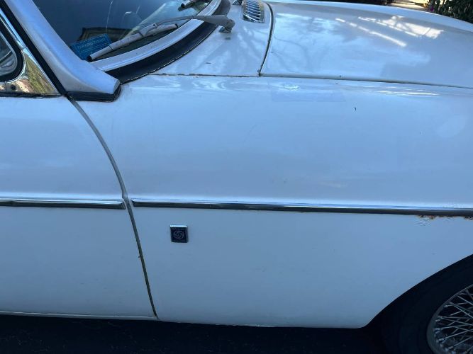Mg-B-1970-White-22