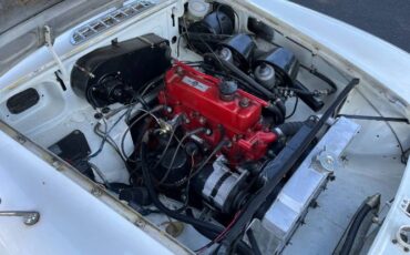 Mg-B-1970-White-3