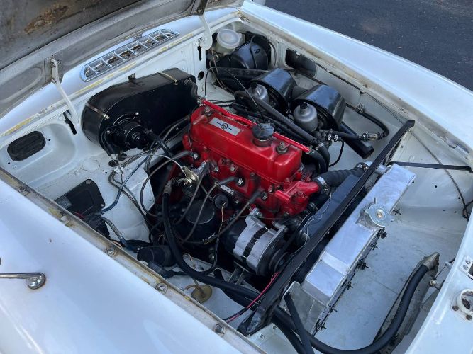 Mg-B-1970-White-3
