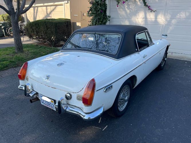 Mg-B-1970-White-5