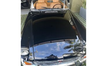 Mg-B-1971-Black-Tan-12