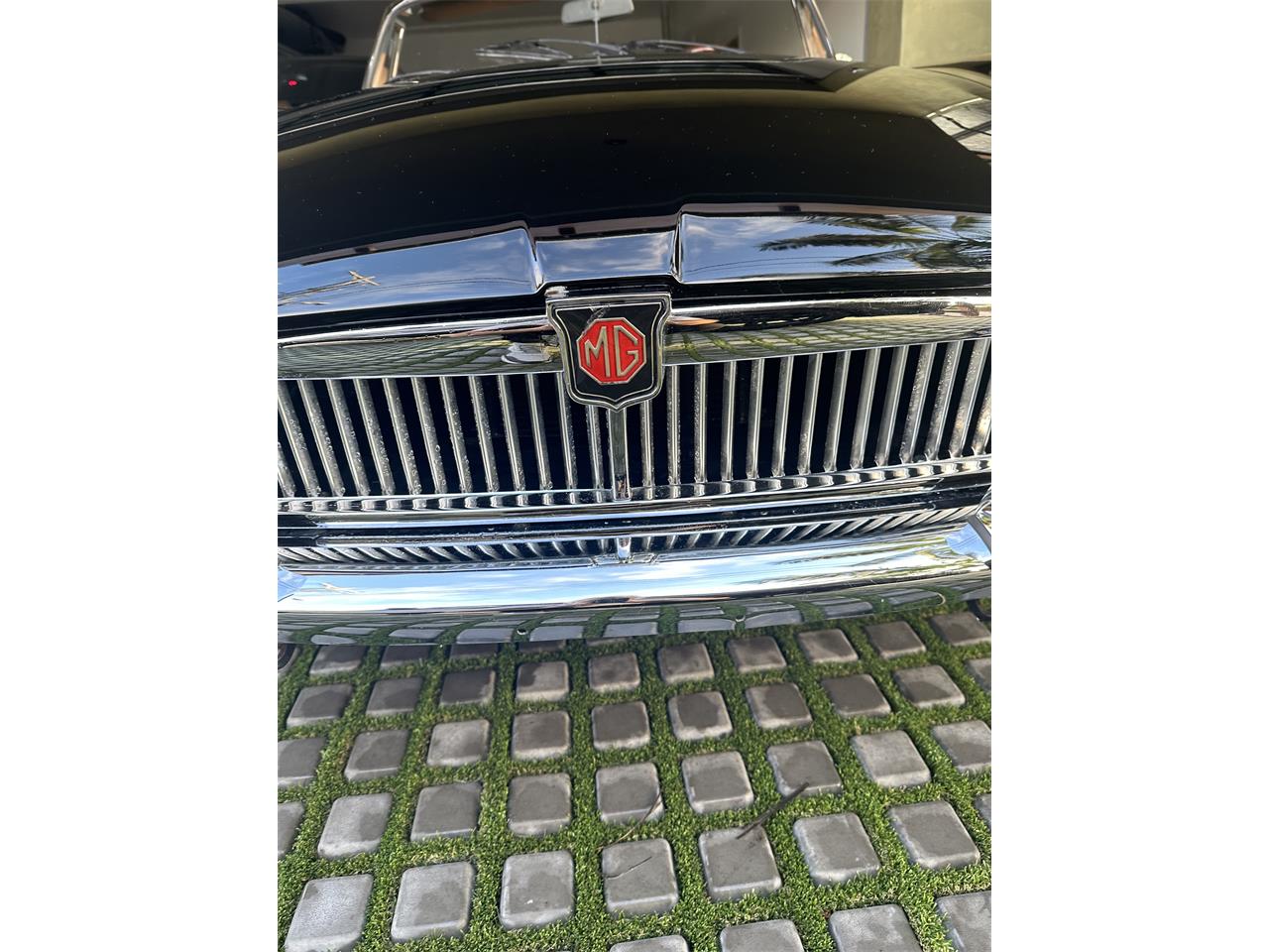Mg-B-1971-Black-Tan-13