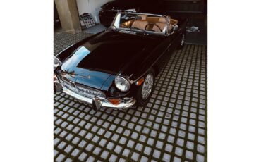 Mg-B-1971-Black-Tan-15
