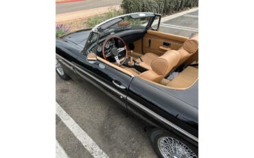 Mg-B-1971-Black-Tan-17