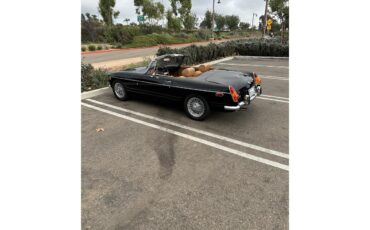 Mg-B-1971-Black-Tan-18