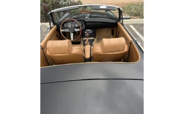 Mg-B-1971-Black-Tan-19