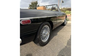 Mg-B-1971-Black-Tan-20