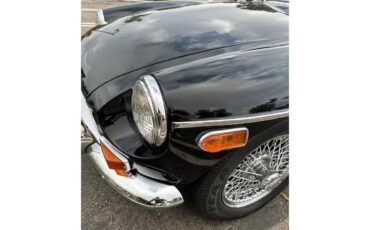 Mg-B-1971-Black-Tan-21
