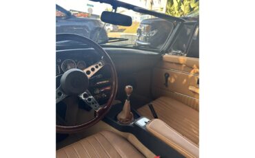 Mg-B-1971-Black-Tan-29