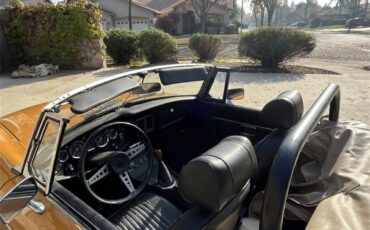 Mg-B-1972-Butterscotch-black-4