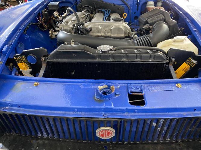 Mg-B-1973-Blue-1