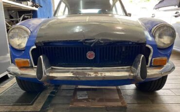 Mg-B-1973-Blue-10