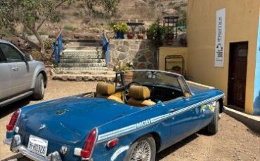 Mg-B-1973-Blue