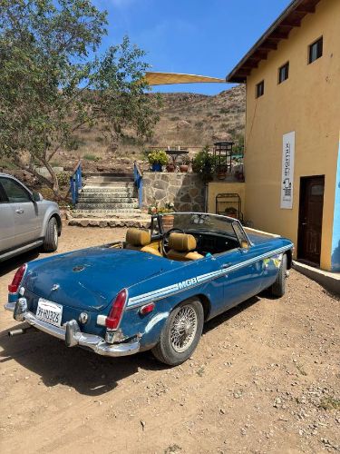 Mg-B-1973-Blue