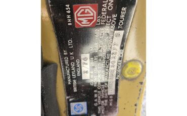 Mg-B-1974-Harvast-Gold-Black-21