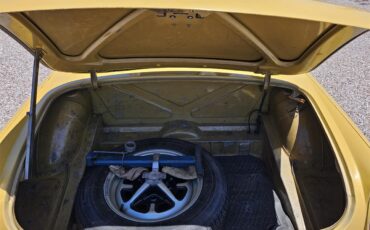 Mg-B-1974-Harvast-Gold-Black-24