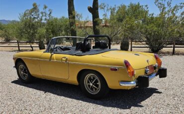 Mg-B-1974-Harvast-Gold-Black-30
